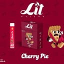 Lit Sticks 2G Disposable Vape 82% THC | Fast DC Delivery