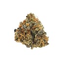 Blue Iguana (Top-Shelf)