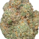 CAP JUNKY (SUPER DESIGNER)