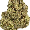 Sherblato (TOP SHELF)