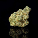 Apple Fritters EXOTIC