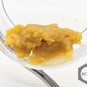 FTEE COCO BUDDER