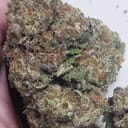 Pink Rozay. (TOP SHELF)