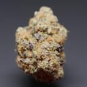 Purple Punch 23.2% THC Indica