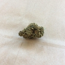 Premium LA CONFINDENTIAL