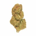Sundae Driver (EXOTIC A+)
