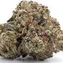 White Widow (exotic)