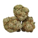 Bubble Gum (AAA)