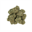 Cinderella 99 (Premium)