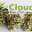 Dank Dough - Exotic SMALLS