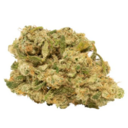 DOJA OG - Black Rose Royal 7g >H