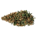 DURBAN POISON | ORIGINAL STASH