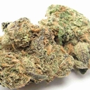 BUBBLE GUM (DESIGNER)