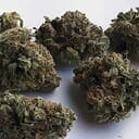 GG4