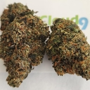 Monster Profit - A+ Topshelf