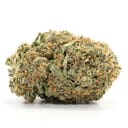 Jungle Cake (TOP SHELF)