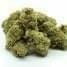 Girl Scout Cookies
