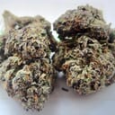 Grape Gorilla Glue- A+ Exotic