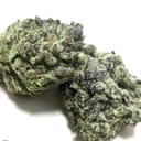 Guava OG