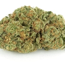 Jack herer