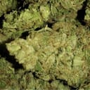 Asian Fantasy (TOP SHELF)