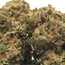 Trainwreck