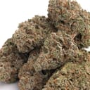 Blueberry (indica)