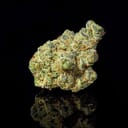 Apple Fritter