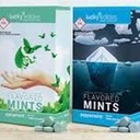 Lucky Flavored Mints