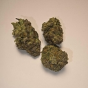 Headbanger (PREMIUM)