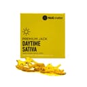 Premium Jack Shatter