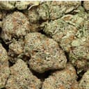 Sour Maui (exotic)