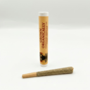 PreRoll: Pilot Light