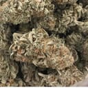 Acapulco Gold (A+)
