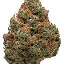 Durban poison (AAA+)