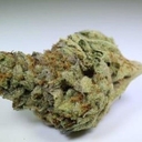 PARIS XXX OG - 5 GRAMS