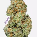 XJ-13 (A+)