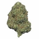 Gelato (EXOTIC A+)