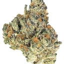 Orange Cookies (Exotic A+)