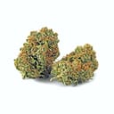 Grease Monkey Hybrid | Top Shelf Flower