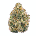 Jet Fuel