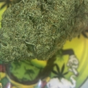 PREMIUM- WAFFLE CONE