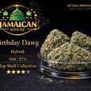 Birthday Dawg AAA