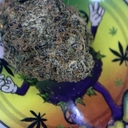 RESERVE- SUPER CHERRIES