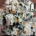 GG#4 by Medigrow