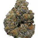 Monster cookie INDOOR