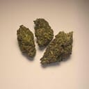 Grease Monkey (PREMIUM)
