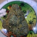 EXOTIC-SOUR TANGIE