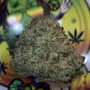 EXOTIC. CRUNCHBERRIES