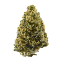 Alien Cookie ( Top shelf )